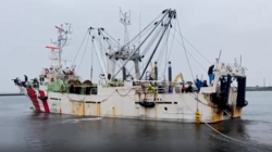 Задержание рыбаков с крабами у берегов Сахалина прокомментировали в Японии