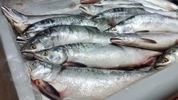 Цены на горбушу удивили покупателей на рынке «Техник» в Южно-Сахалинске