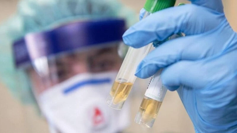 На Сахалине сохранилась нулевая смертность от COVID-19 в ДФО