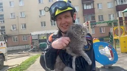Из пожара в центре Южно-Сахалинска выносят домашних котов