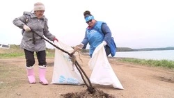 «Климатическая неделя» на Сахалине. Среда Обитания 08.06.23