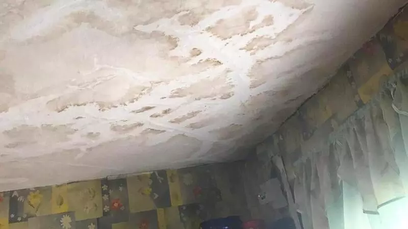 Прохожие стыдят сахалинскую пенсионерку за дырявый дом с травой на крыше