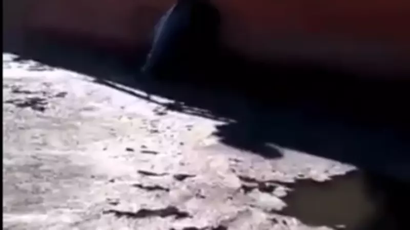 «Углом прям врезались!» Стали известны подробности разлива мазута в порту Бошняково