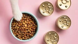 Обязательную маркировку кормов для животных введут в Сахалинской области в 2024 году