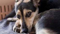 Ищем решения, а не виноватых