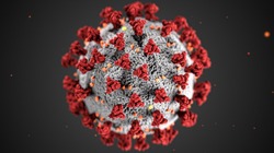 Два новых варианта коронавируса выявили в России