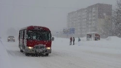 Пять автобусов в Южно-Сахалинске будут курсировать по измененным маршрутам
