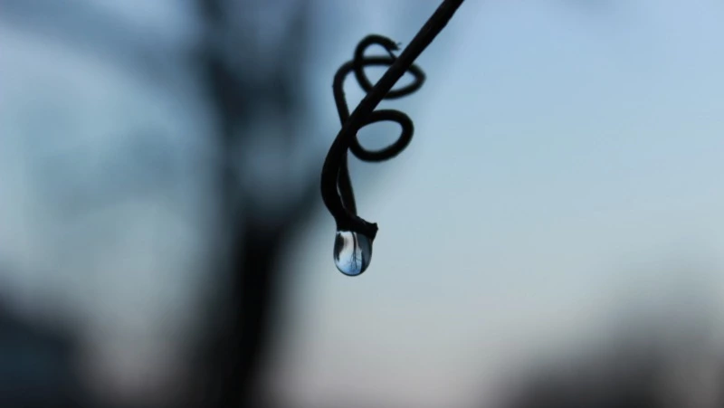 Снег и дождь: синоптики озвучили прогноз погоды в Сахалинской области на 27 марта