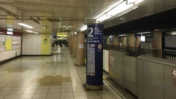 Японцы 20 марта скорбят о жертвах крупного теракта с применением газа в Токийском метро 30 лет назад