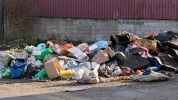 Более 670 стихийных свалок ликвидировали с начала года в Южно-Сахалинске