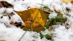 Морозно и солнечно будет в Южно-Сахалинске 26 ноября