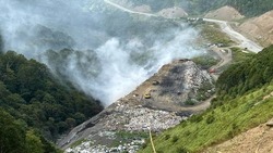 Лес возле бывшей свалки Холмска очистят по решению суда