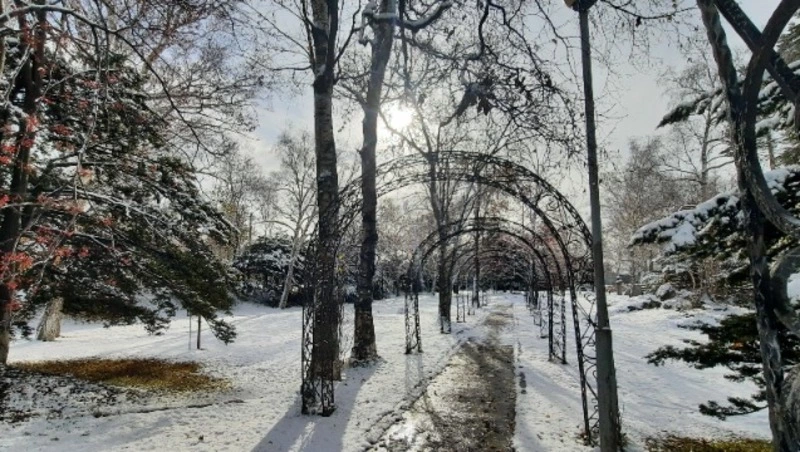 Пасмурно и холодно: прогноз погоды в Южно-Сахалинске 24 декабря