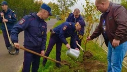 Полицейские высадили новую зеленую аллею в Охе
