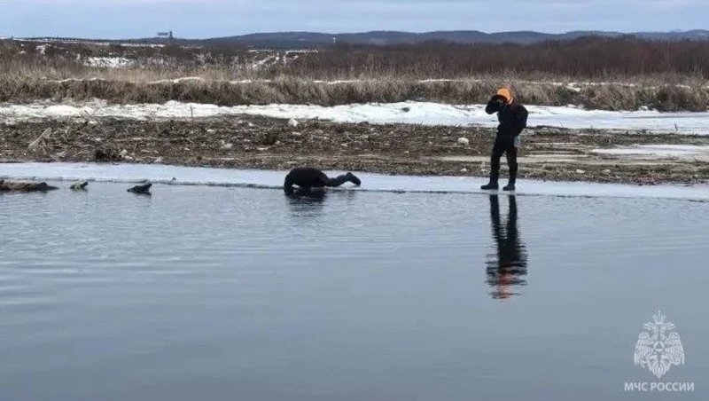 Более 100 человек ведут поиски пропавшего мальчика на Сахалине