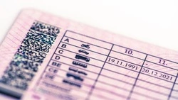 Житель Сахалина стал фигурантом уголовного дела из-за поддельных прав