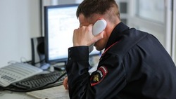 Полицейские задержали подозреваемого в разбое в Углегорском районе