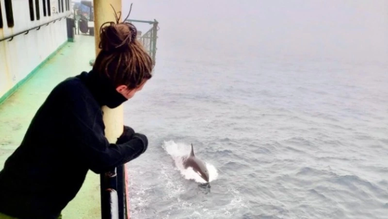 Популярная блогер сообщила о буллинге со стороны экипажа парома на Сахалине