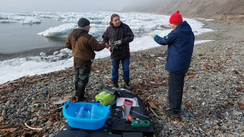 Ученые СахГУ нашли способ ликвидации парникового эффекта с помощью ламинарии