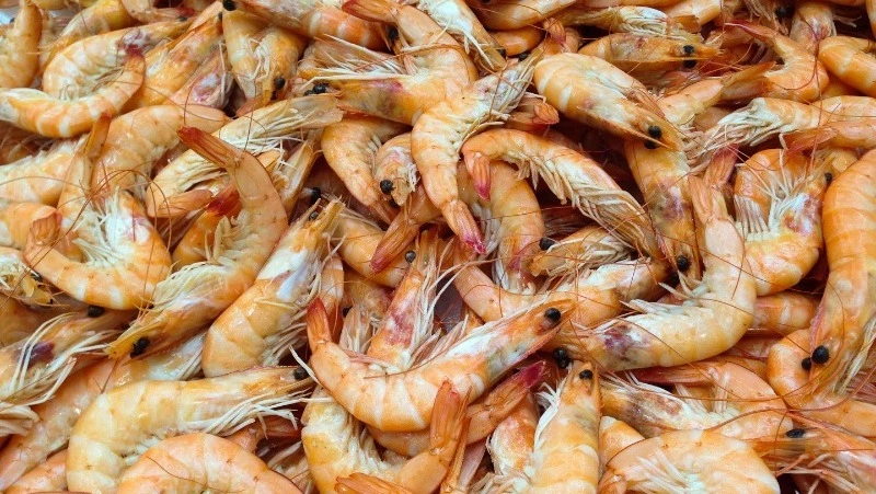 ФСБ задержала браконьеров с креветкой на 3,6 млн рублей в Корсаковском районе