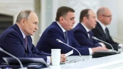 Путин поручил решить вопрос с доступностью авиабилетов для многодетных семей