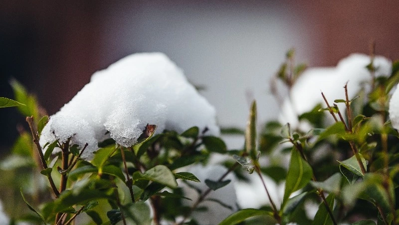 Погода в Южно-Сахалинске 26 марта: +3 градуса и ясное небо 