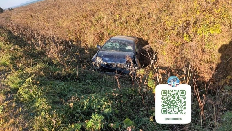 Два человека получили травмы после съезда Toyota Allex в кювет в Долинском районе