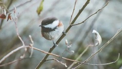 Погода в Южно-Сахалинске 2 апреля: плюсовые отметки и пасмурное небо