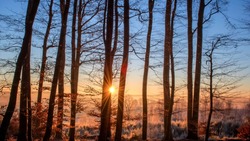 Солнце и тепло придут в Сахалинскую область днем 2 апреля