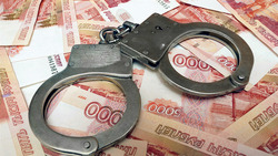 Бизнесмена на Сахалине осудят из-за жесткой экономии на налогах