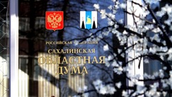 Двоих депутатов исключили из Сахалинской областной Думы 13 октября