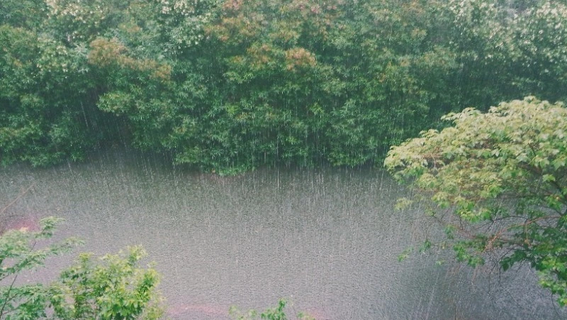 Ливень и до +25 градусов ждет жителей Сахалина и Курил 6 июля