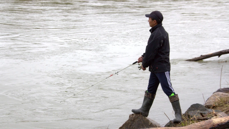 На юге Сахалина 21 мая стартует лов симы