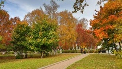 Малооблачно днем и слабый дождь ночью прогнозируют в Южно-Сахалинске 16 сентября