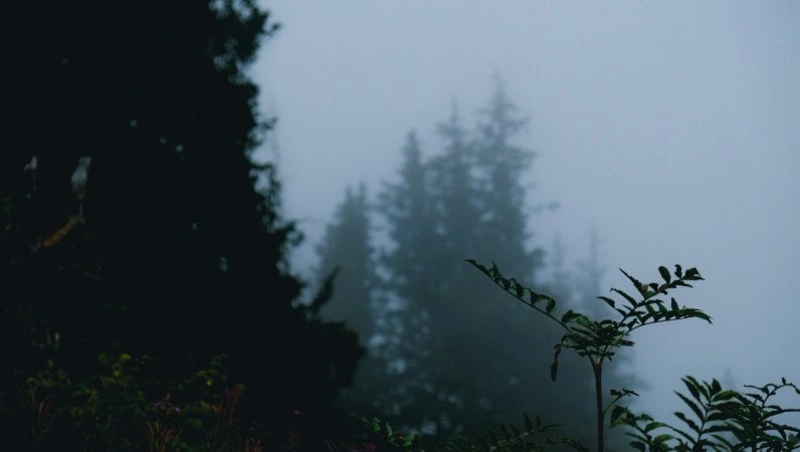 Синоптики уточнили прогноз погоды в Сахалинской области на 26 мая