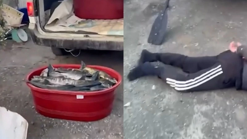 Лодки, машины, сети: на Сахалине накрыли ОПГ браконьеров