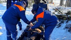 На Колыме спасли работника заповедника, который чуть не погиб вдали от цивилизации