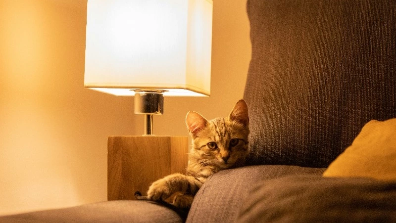 Полиция и сотни жителей Южно-Сахалинска остались без света 27 августа