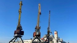 С Дальнего Востока экспортировали более 30 тысяч тонн рыбы за неделю