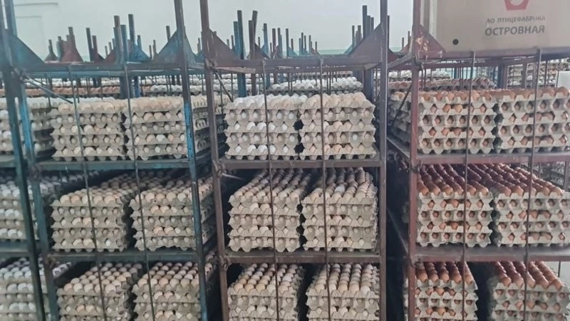 Комиссия агентства ветеринарии начала проверку на птицефабрике «Островная» 