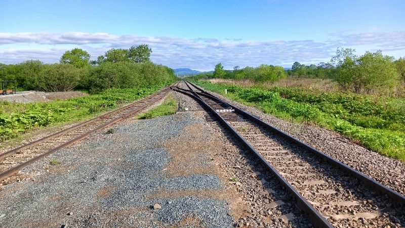 Машиниста поезда на Сахалине приговорили к 2 годам работ за смертельный наезд на человека