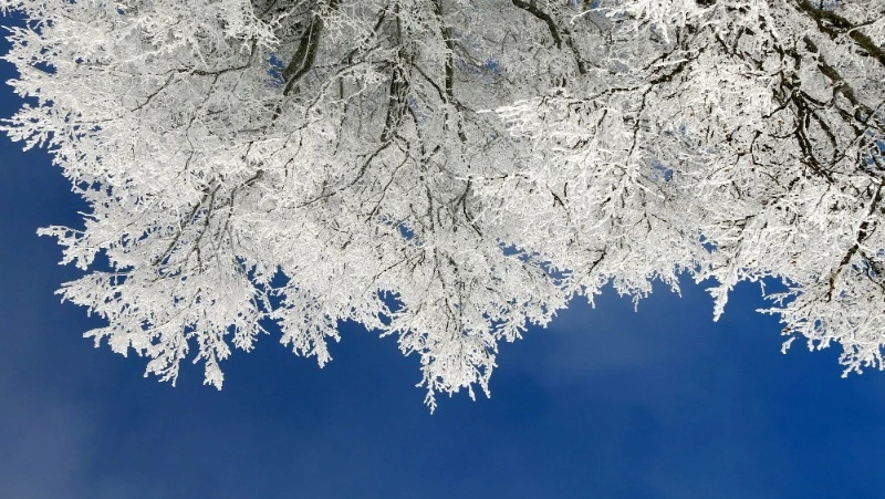 Ясное небо и до -5 градусов днем: прогноз погоды в Южно-Сахалинске