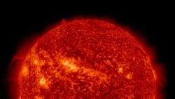 Ученые предупредили о пике солнечной активности в 2024 году