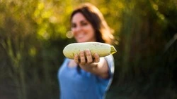 Профессиональные повара и рецепты: в Аниве пройдет «Фестиваль кабачка» 