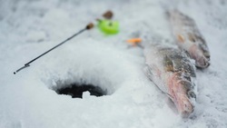 Рыбакам Сахалина запретили выход на лед 13 марта 
