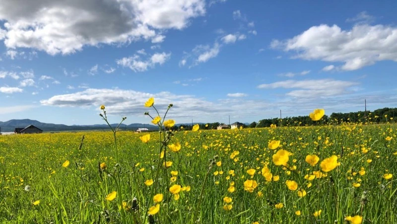Лимаренко высказался о спецоперации в Украине 