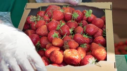 Тематическую ярмарку организовали в Южно-Сахалинске в День работника торговли