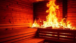 Полчаса спасатели тушили баню в селе Ключи