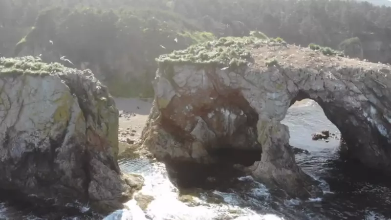 Петербуржцы сняли яркое и умиротворяющее видео о Сахалине