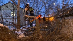 Старое дерево на сетях затруднило устранение нового порыва в Южно-Сахалинске